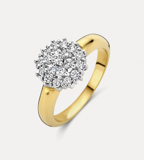 14 Karaat bicolor geel- met witgouden dubbele Entourage ring met bolle scheen van het merk Briljant.